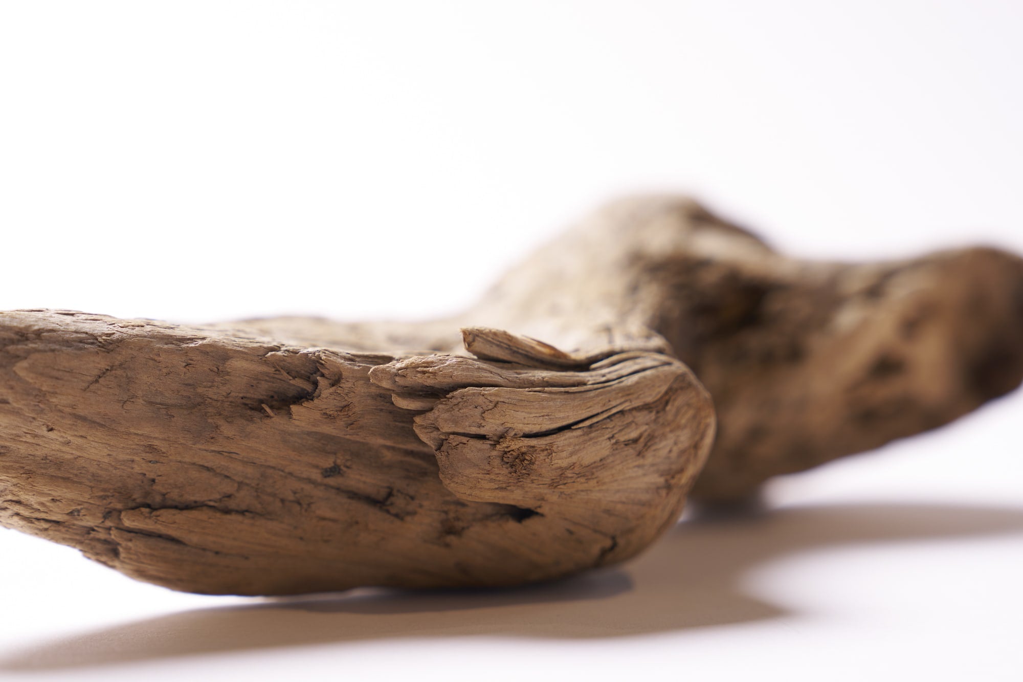 エトゥープのイメージ5