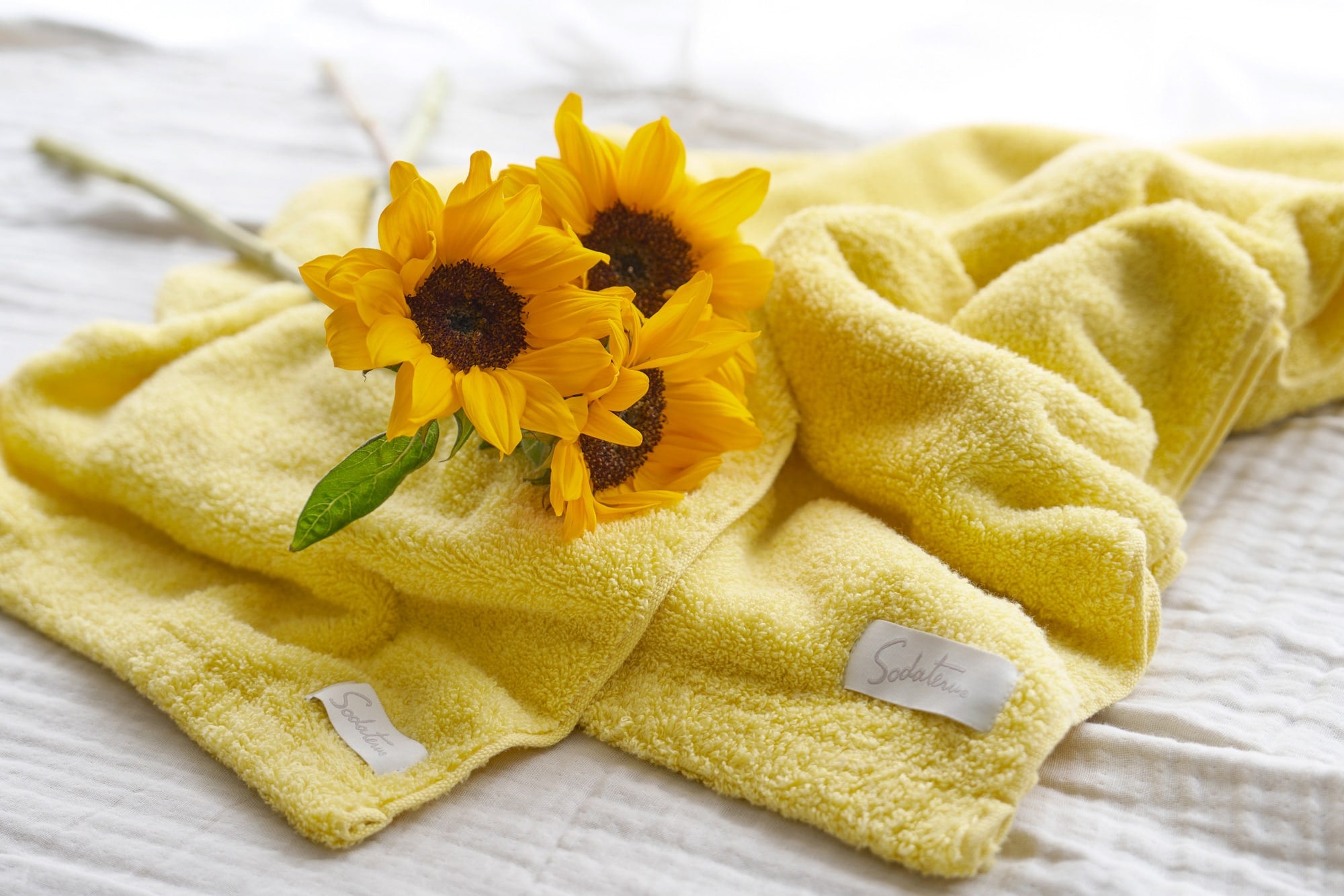 表参道showroom限定カラー「サンフラワー」イメージ2